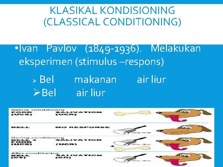 KLASIKAL KONDISIONING (CLASSICAL CONDITIONING) • Ivan Pavlov (1849 -1936). Melakukan eksperimen (stimulus –respons) Bel