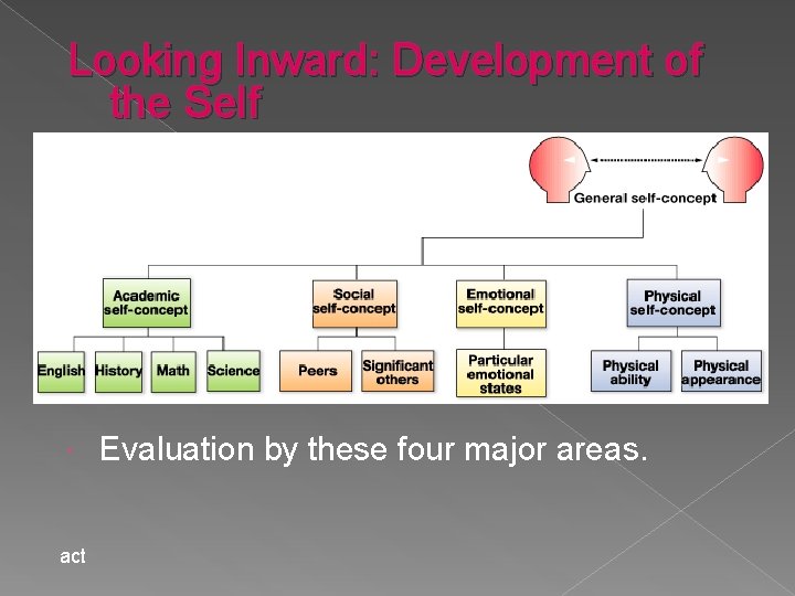 Looking Inward: Development of the Self act Evaluation by these four major areas. 