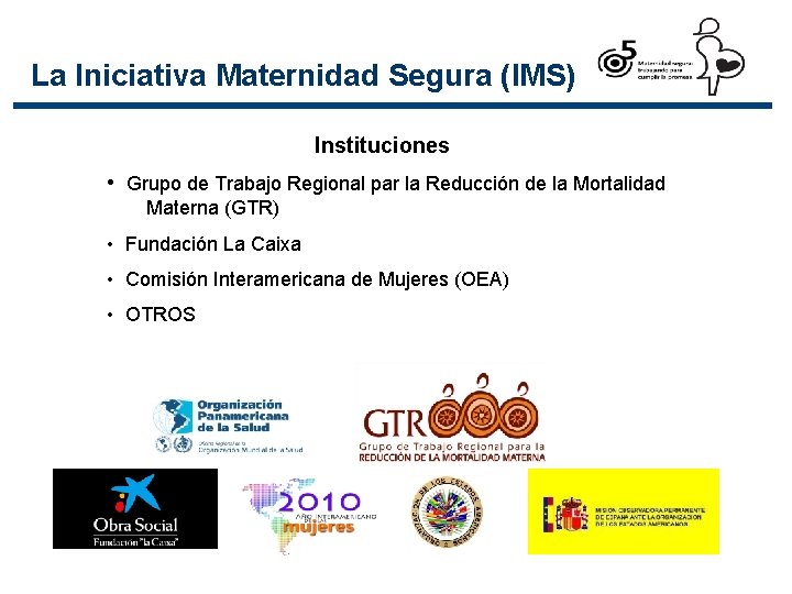 La Iniciativa Maternidad Segura (IMS) Instituciones • Grupo de Trabajo Regional par la Reducción