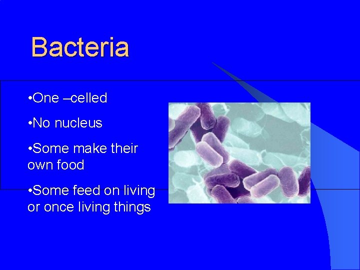Bacteria • One –celled • No nucleus • Some make their own food •