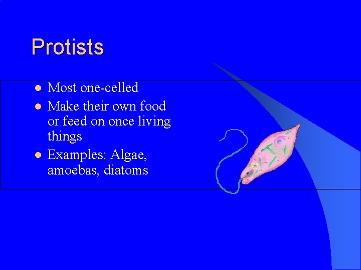 Protists l l l Most one-celled Make their own food or feed on once