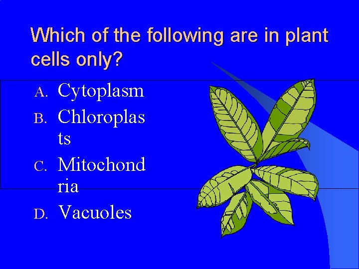 Which of the following are in plant cells only? A. B. C. D. Cytoplasm