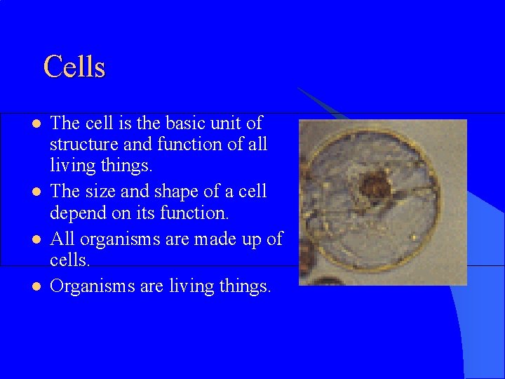 Cells l l The cell is the basic unit of structure and function of