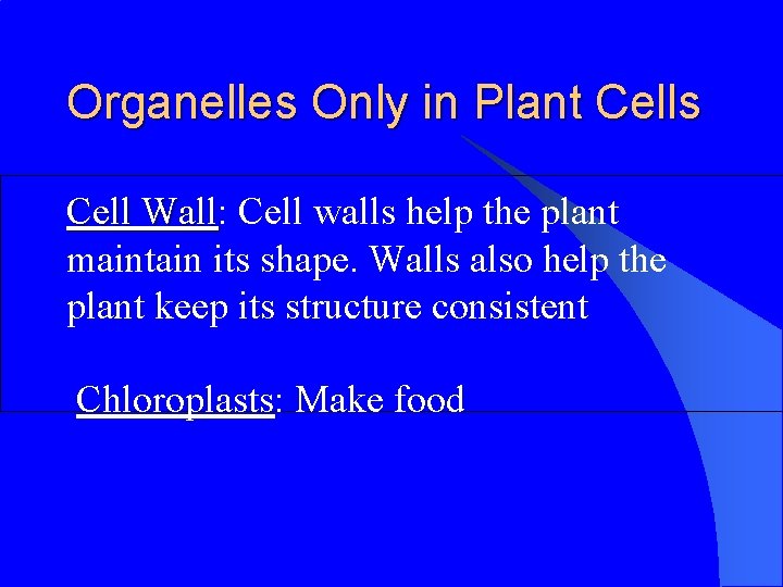 Organelles Only in Plant Cells Cell Wall: Wall Cell walls help the plant maintain