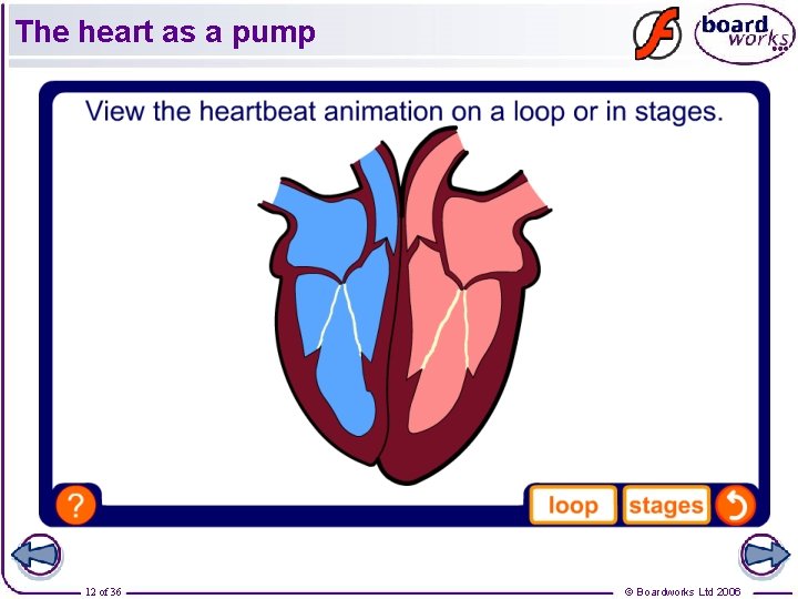 The heart as a pump 12 of 36 © Boardworks Ltd 2006 