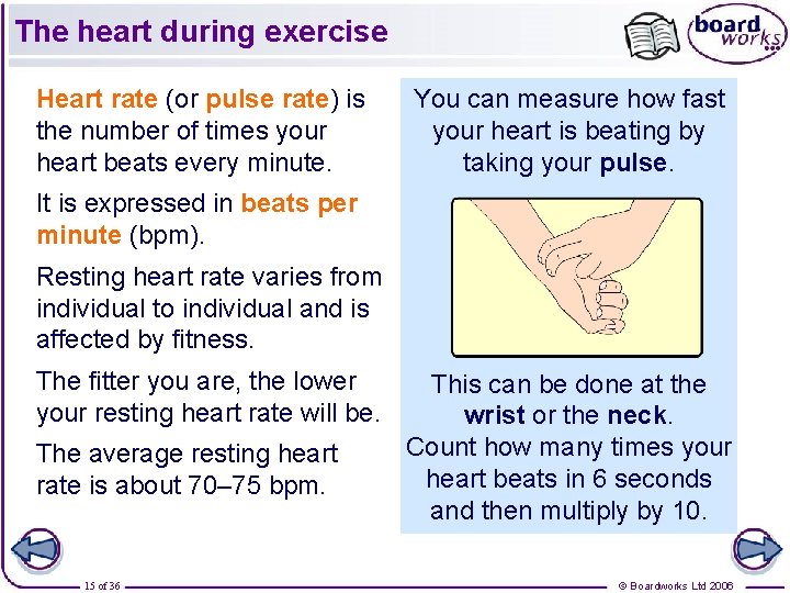 The heart during exercise Heart rate (or pulse rate) is the number of times