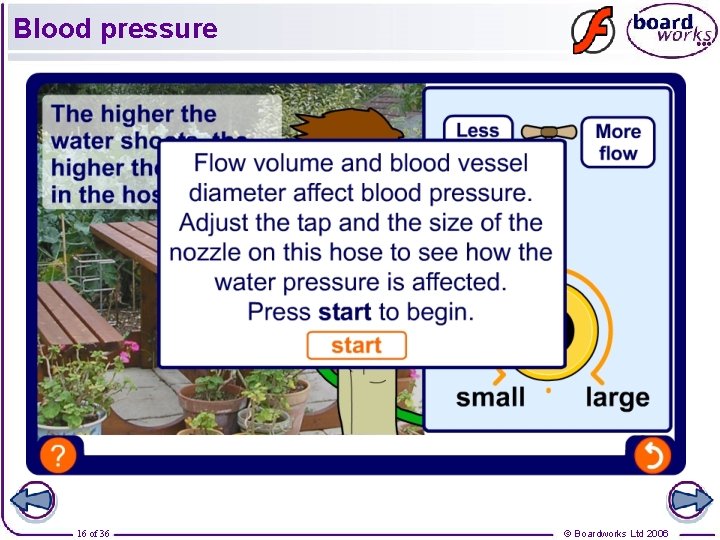 Blood pressure 16 of 36 © Boardworks Ltd 2006 