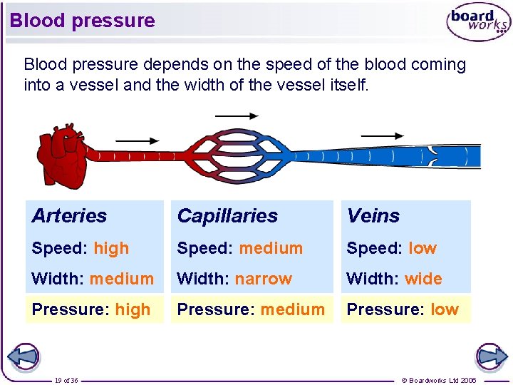 Blood pressure depends on the speed of the blood coming into a vessel and