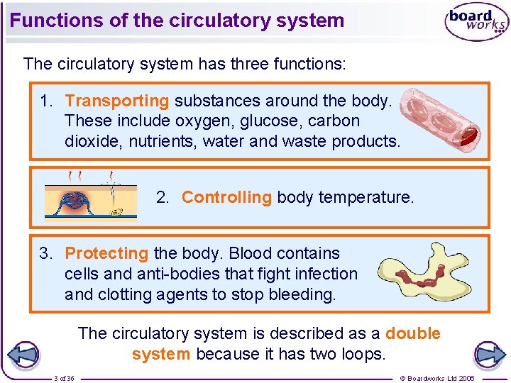 Functions of the circulatory system The circulatory system has three functions: 1. Transporting substances