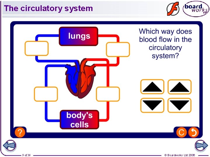 The circulatory system 9 of 36 © Boardworks Ltd 2006 