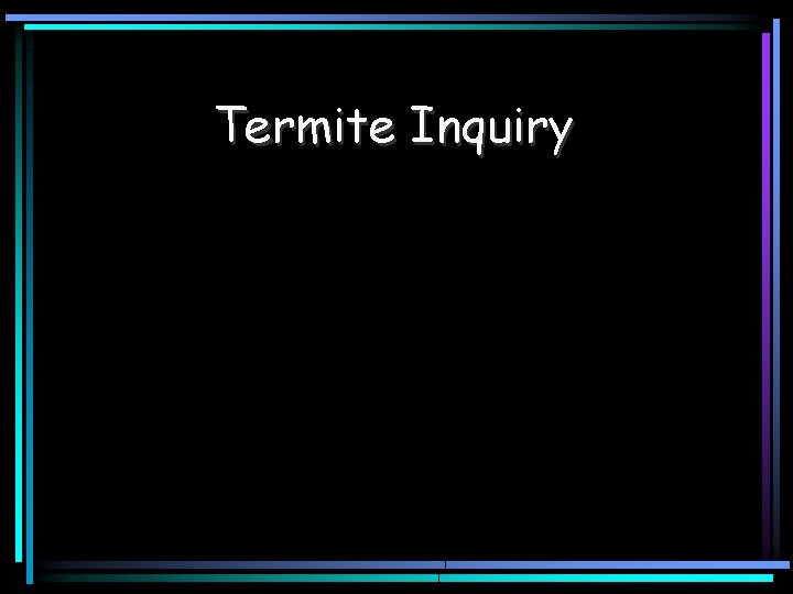 Termite Inquiry 