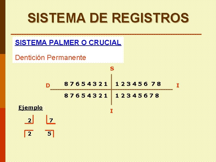 SISTEMA DE REGISTROS SISTEMA PALMER O CRUCIAL Dentición Permanente S D Ejemplo: 2 2