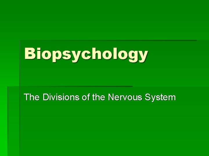 Biopsychology The Divisions of the Nervous System 