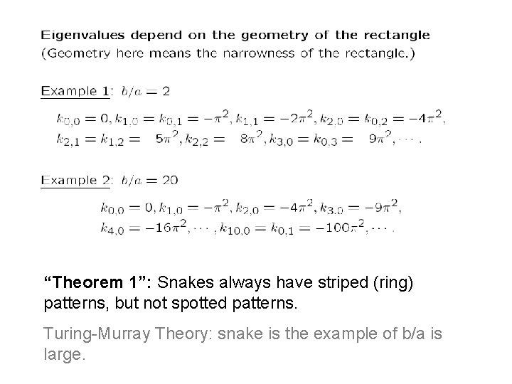 “Theorem 1”: Snakes always have striped (ring) patterns, but not spotted patterns. Turing-Murray Theory: