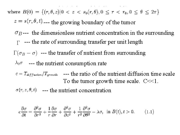 --- the growing boundary of the tumor --- the dimensionless nutrient concentration in the