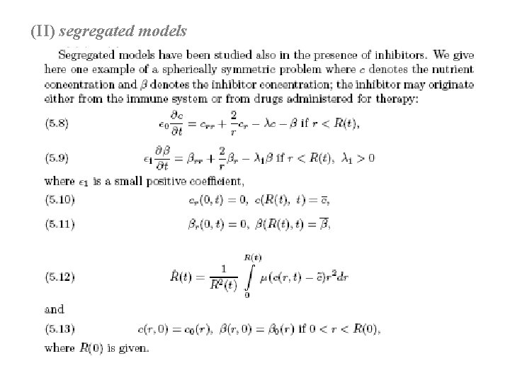 (II) segregated models 