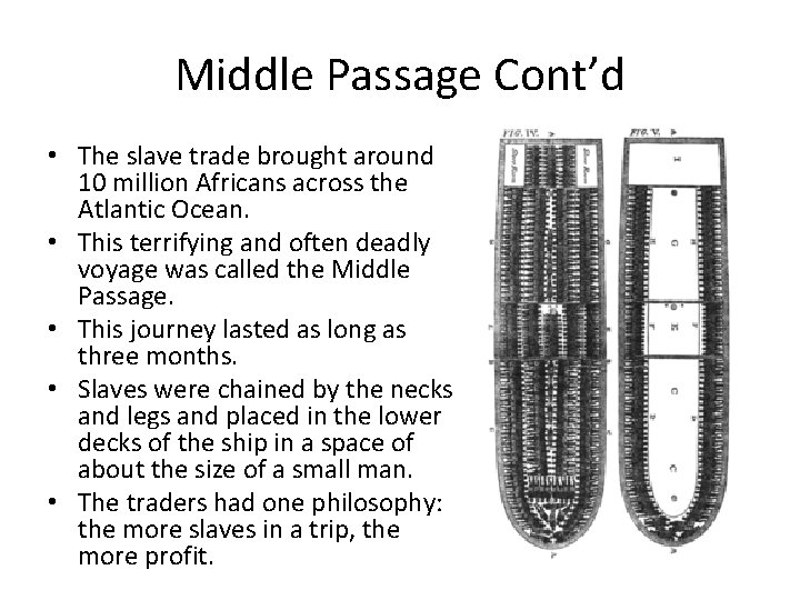 Life in the English Colonies Chapter 5 Section