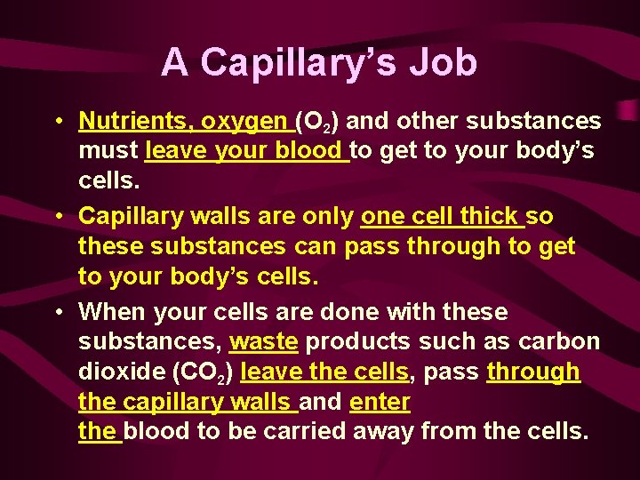 A Capillary’s Job • Nutrients, oxygen (O 2) and other substances must leave your