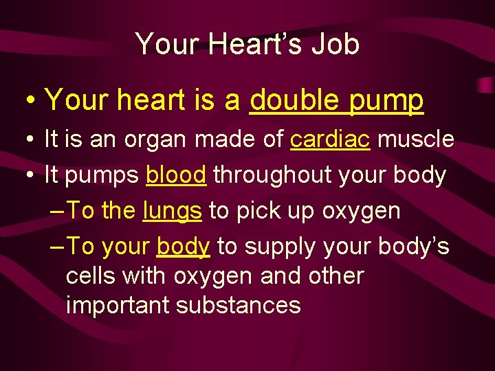 Your Heart’s Job • Your heart is a double pump • It is an