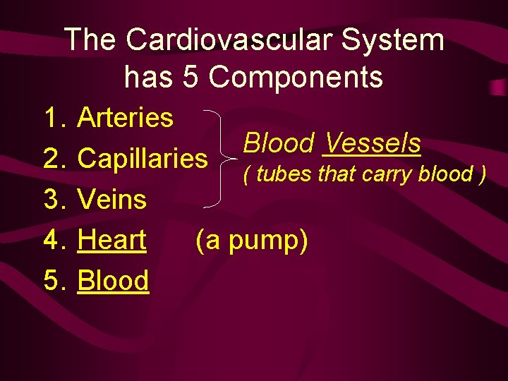 The Cardiovascular System has 5 Components 1. 2. 3. 4. 5. Arteries Blood Vessels