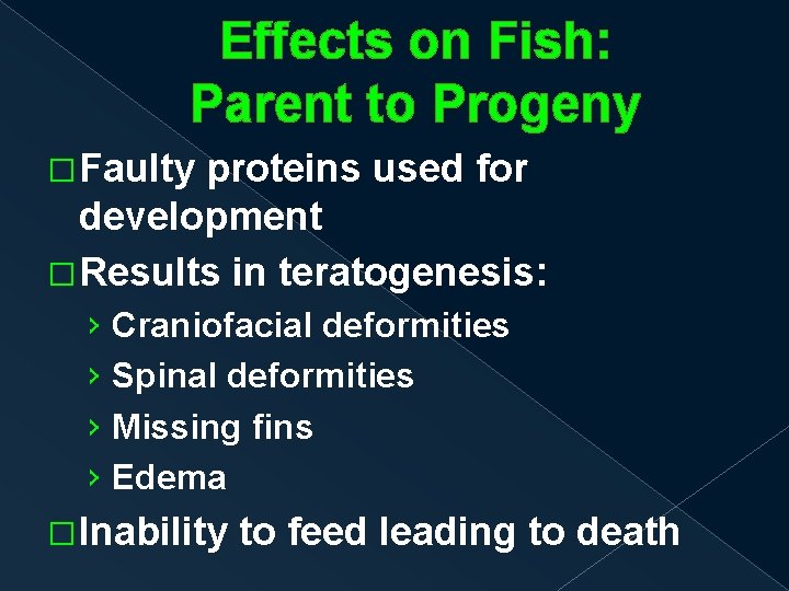 Effects on Fish: Parent to Progeny �Faulty proteins used for development �Results in teratogenesis: Effects on Fish: Parent to Progeny �Faulty proteins used for development �Results in teratogenesis: