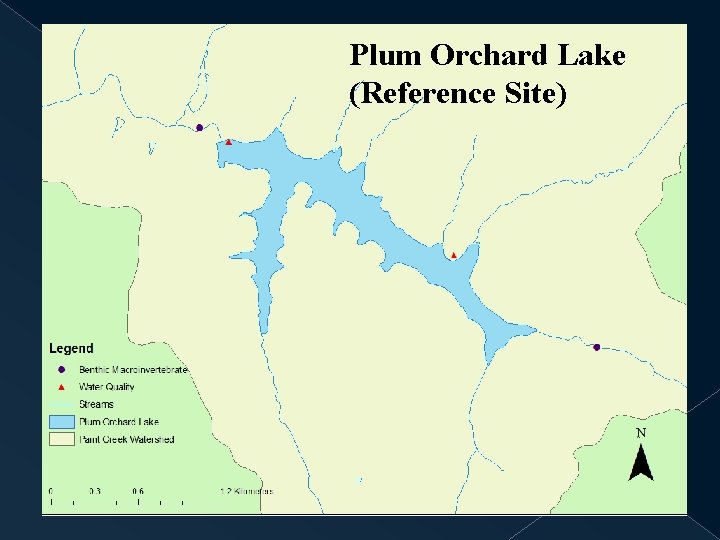 Plum Orchard Lake (Reference Site) 