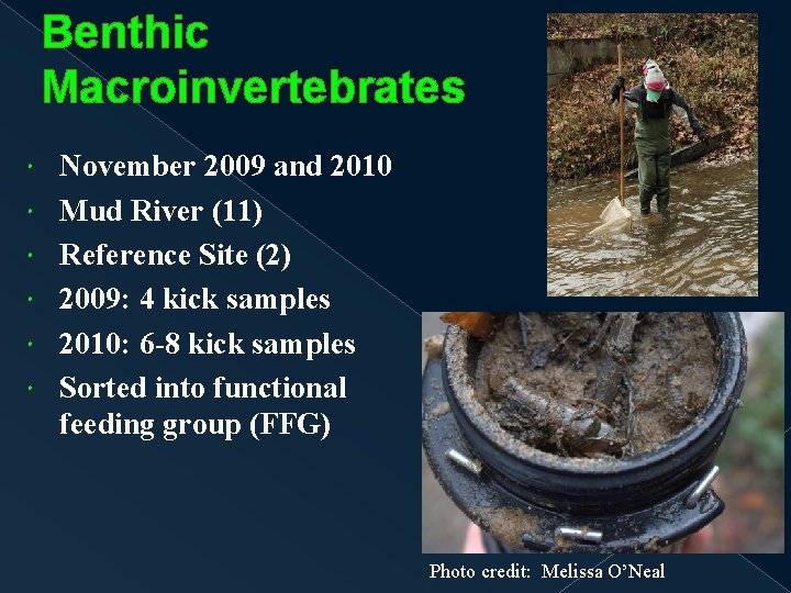 Benthic Macroinvertebrates November 2009 and 2010 Mud River (11) Reference Site (2) 2009: 4