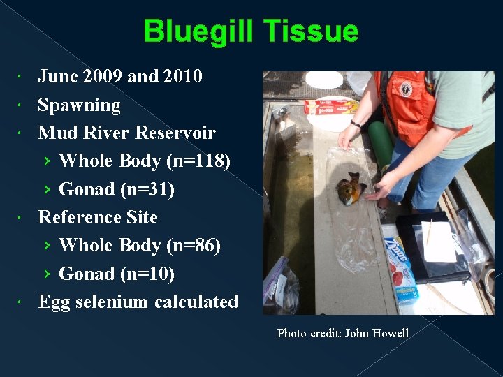 Bluegill Tissue June 2009 and 2010 Spawning Mud River Reservoir › Whole Body (n=118)