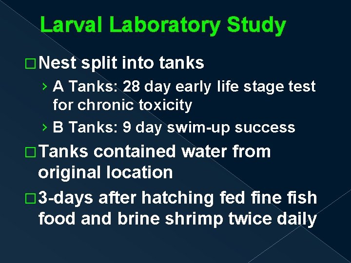 Larval Laboratory Study �Nest split into tanks › A Tanks: 28 day early life