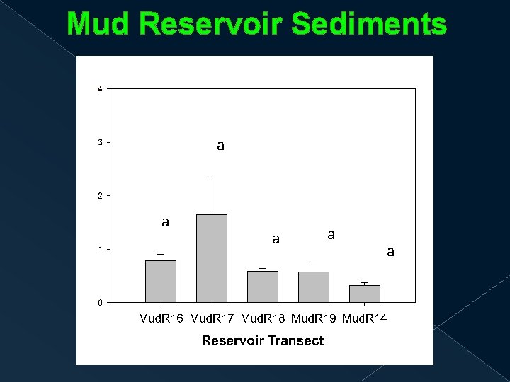 Mud Reservoir Sediments a a a 