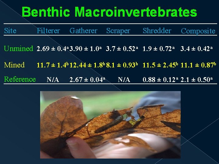 Benthic Macroinvertebrates Site Filterer Gatherer Scraper Shredder Composite Unmined 2. 69 ± 0. 4