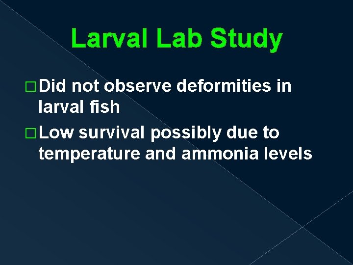 Larval Lab Study �Did not observe deformities in larval fish �Low survival possibly due