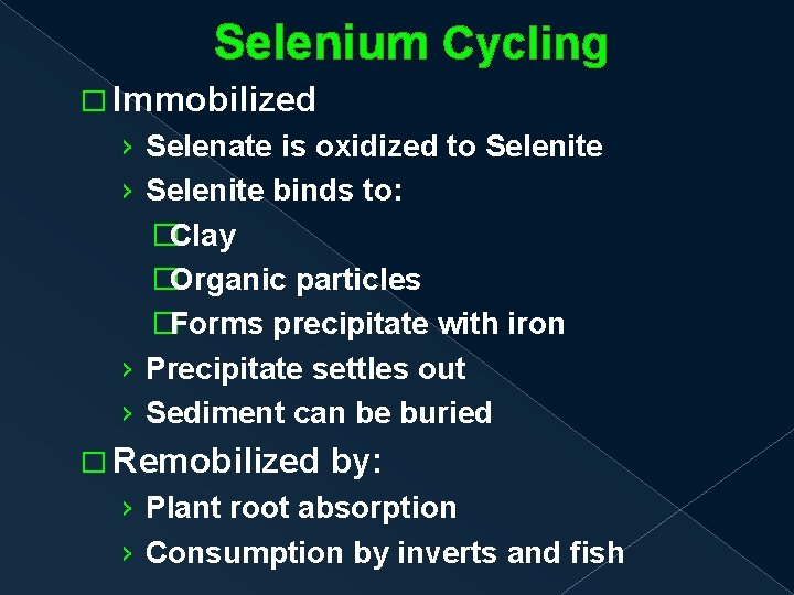 Selenium Cycling � Immobilized › Selenate is oxidized to Selenite › Selenite binds to:
