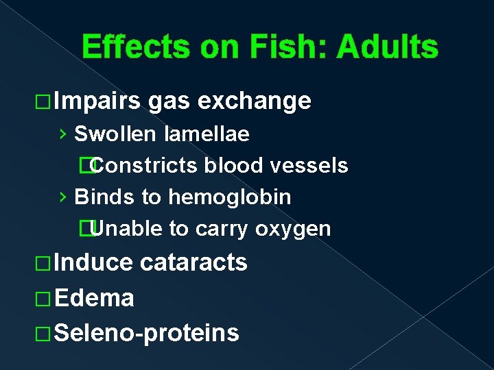 Effects on Fish: Adults �Impairs gas exchange › Swollen lamellae �Constricts blood vessels ›