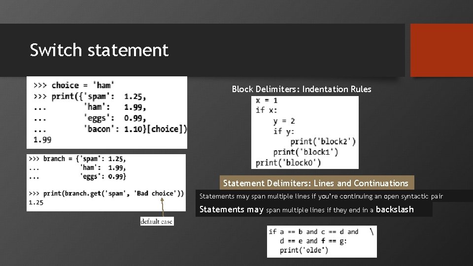 Switch statement Block Delimiters: Indentation Rules Statement Delimiters: Lines and Continuations Statements may span