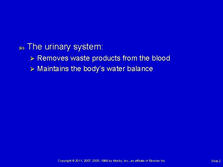  The urinary system: Removes waste products from the blood Ø Maintains the body’s