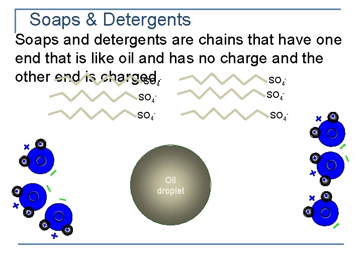 Soaps & Detergents Soaps and detergents are chains that have one end that is