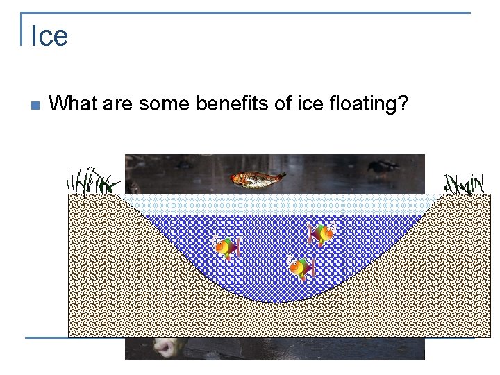 Ice n What are some benefits of ice floating? 