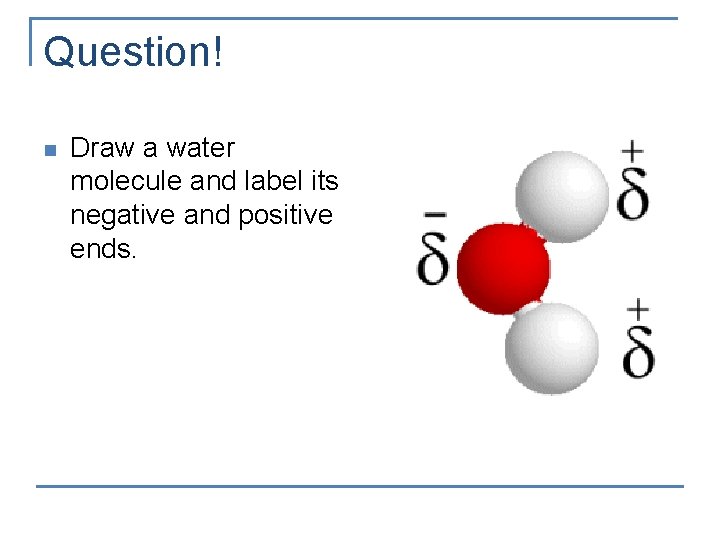 Question! n Draw a water molecule and label its negative and positive ends. 