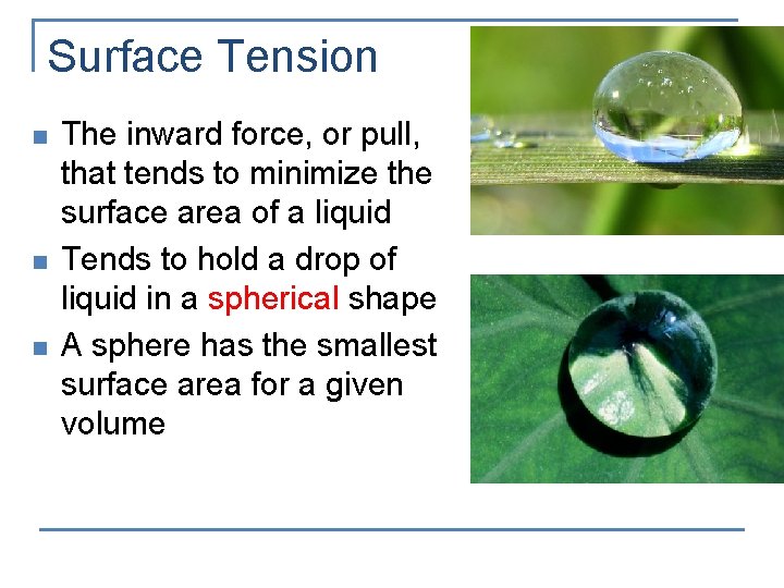 Surface Tension n The inward force, or pull, that tends to minimize the surface