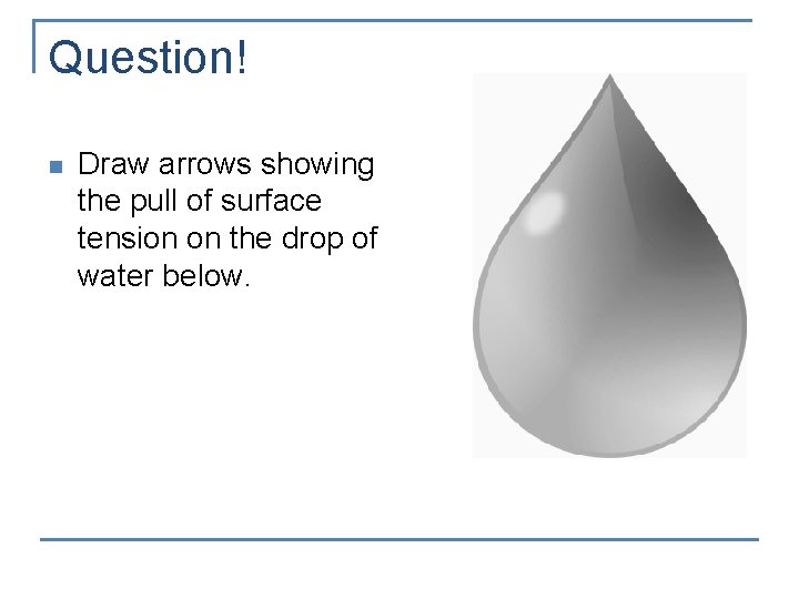 Question! n Draw arrows showing the pull of surface tension on the drop of