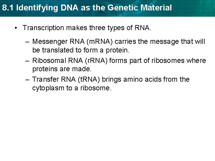 8. 1 Identifying DNA as the Genetic Material • Transcription makes three types of