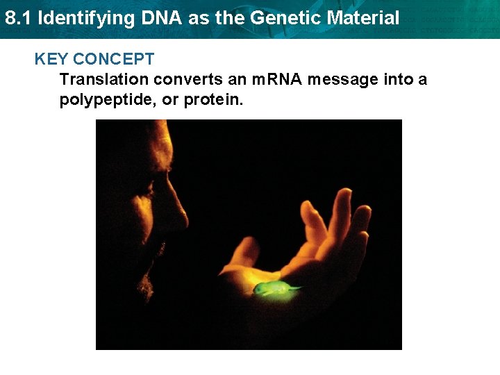 8. 1 Identifying DNA as the Genetic Material KEY CONCEPT Translation converts an m.