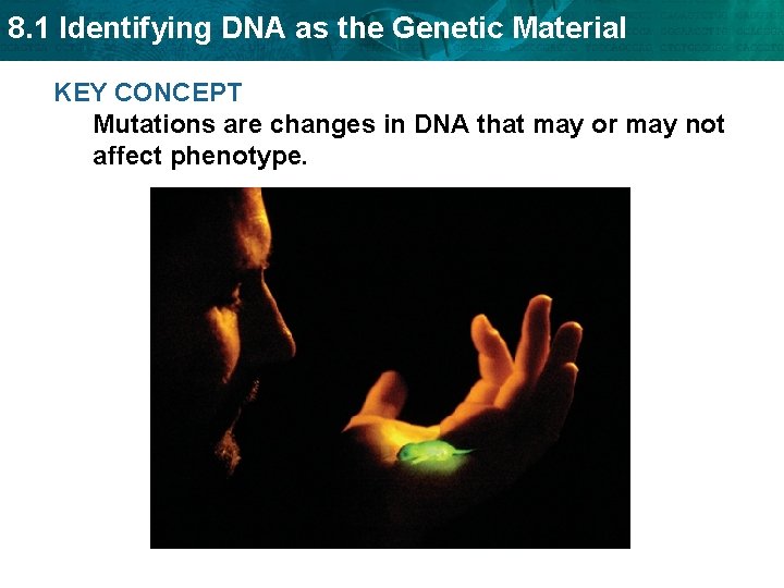 8. 1 Identifying DNA as the Genetic Material KEY CONCEPT Mutations are changes in