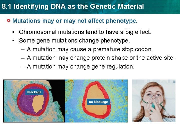 8. 1 Identifying DNA as the Genetic Material Mutations may or may not affect