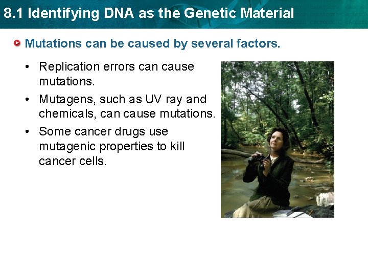 8. 1 Identifying DNA as the Genetic Material Mutations can be caused by several