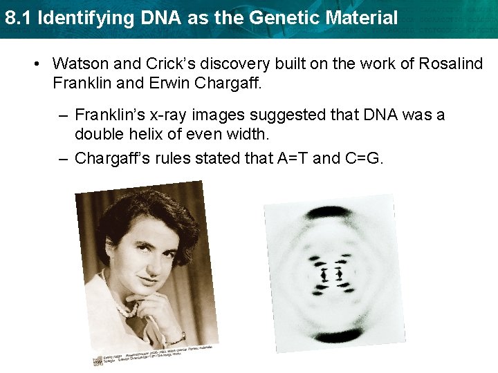 8. 1 Identifying DNA as the Genetic Material • Watson and Crick’s discovery built