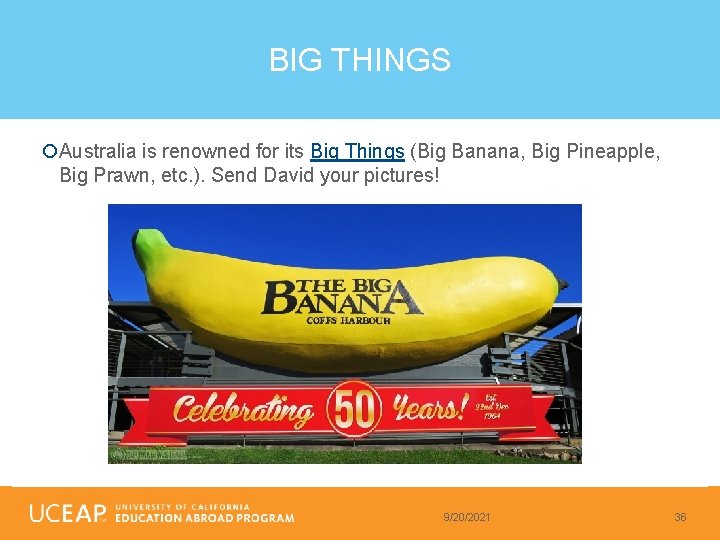 BIG THINGS Australia is renowned for its Big Things (Big Banana, Big Pineapple, Big