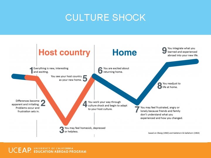 CULTURE SHOCK 