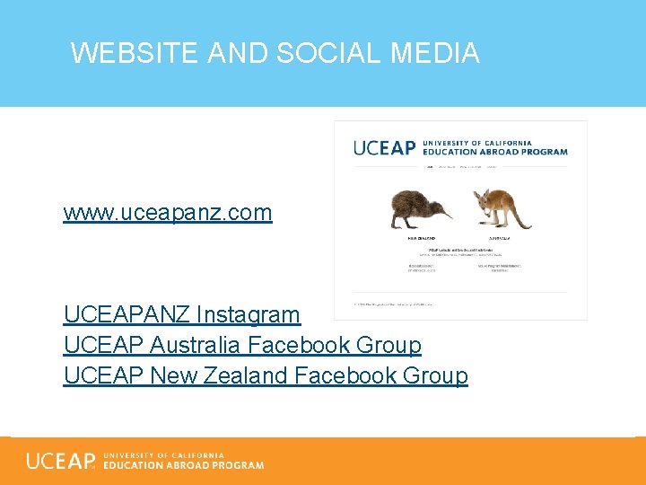 WEBSITE AND SOCIAL MEDIA www. uceapanz. com UCEAPANZ Instagram UCEAP Australia Facebook Group UCEAP